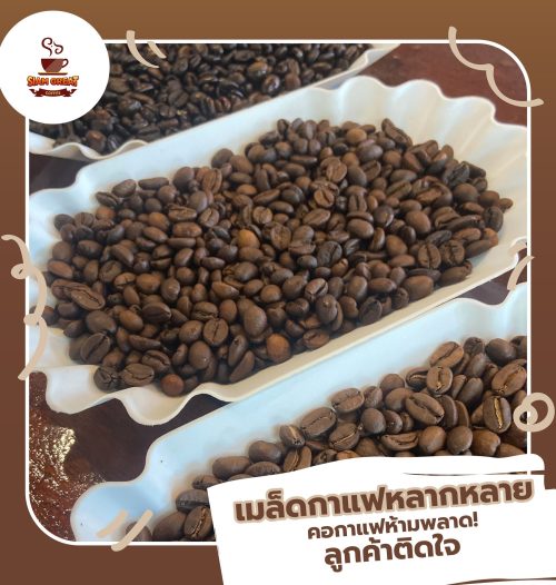สิ่งที่ทำให้คอกาแฟเเละร้านกาแฟไว้ใจ โรงคั่วสยามเกรทคอฟฟี่